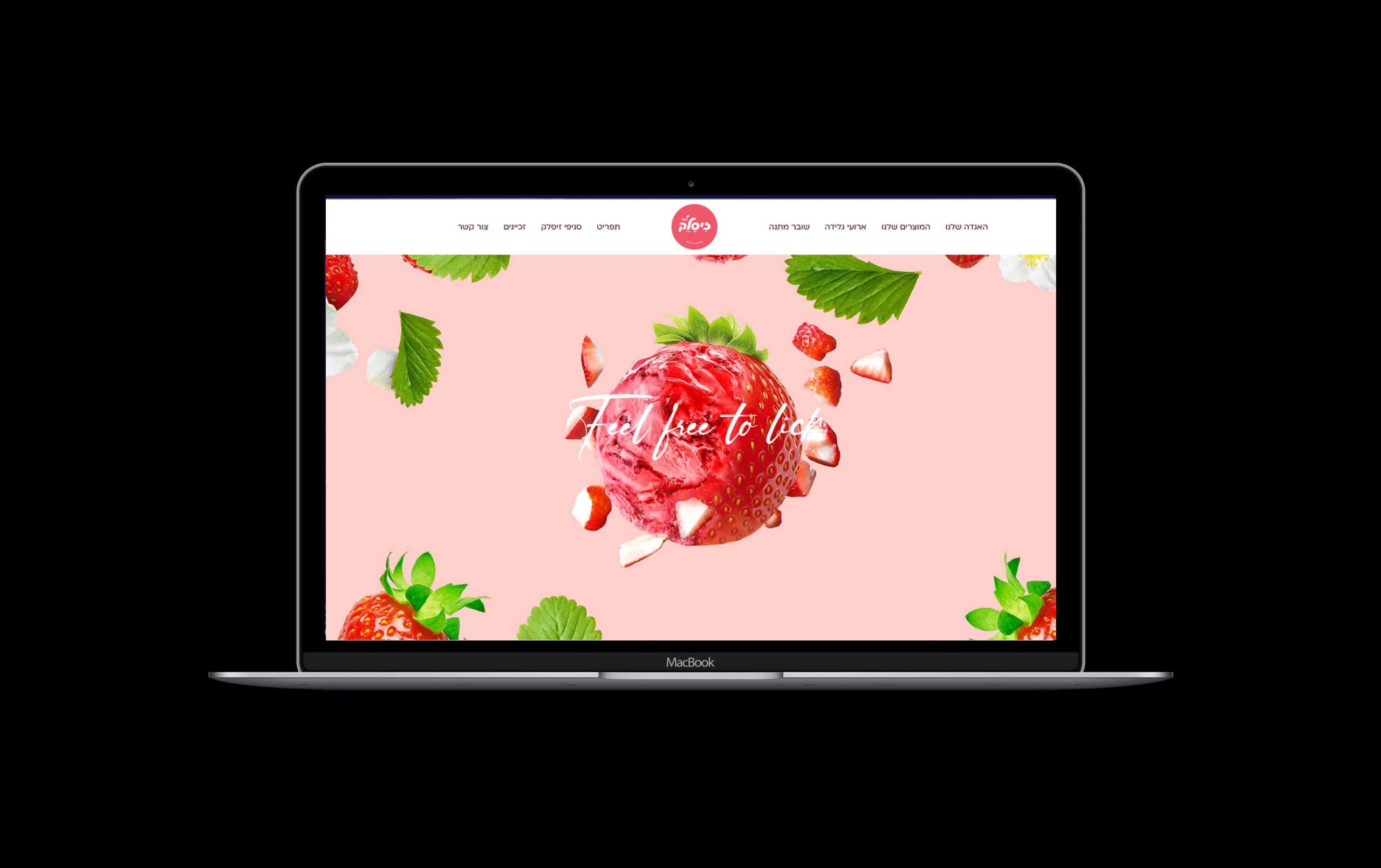 זיסלק תדמית